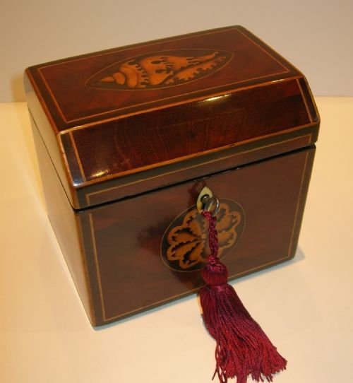 Georgian English Mahogany Tea Caddy with Shell & Roundel Inlay C.1810