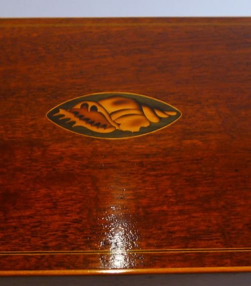 fig 2. English George III Mahogany Jewelry / Desk Box c.1820 - Shell Inlay