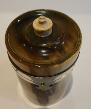 fig 1. Rare Victorian English Horn Cylindrical Tea Caddy - Complete with Caddy Spoon c.1860