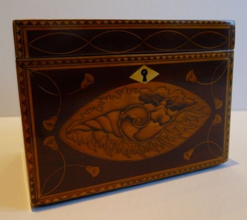 Magnificent Antique English Shell & Floral Inlaid Eighteenth Century Tea Caddy C.1790