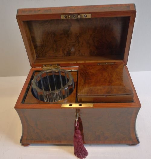 fig 1. Stunning Antique English Burl Walnut & Tulipwood Tea Caddy c.1860