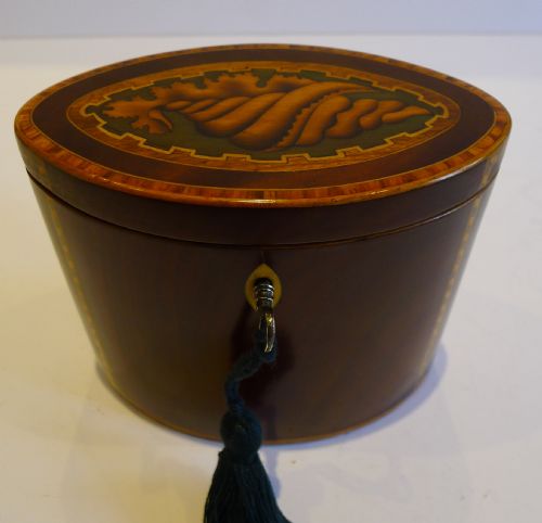 Stunning Antique English Oval Tea Caddy with Conch Shell Inlay C.1790