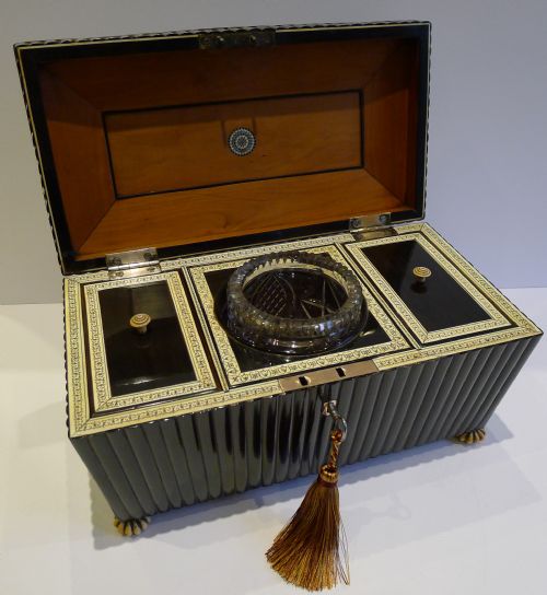 Grand Anglo-indian Carved Buffalo Horn Vizagapatam Tea Caddy C.1840