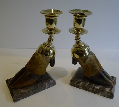 English Victorian Taxidermy Hoof & Brass Candlesticks C.1880