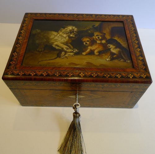 Rare Antique Parquetry / Tunbridge Inlaid Jewellery Box - Hand Painted Dog Panel - " the First Lesson "