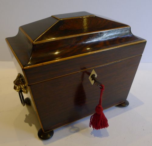 Antique English Regency Rosewood Tea Caddy C.1820 - Lion Handles