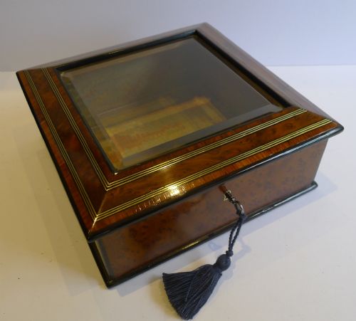 Antique French Burr Walnut & Tulipwood Display Box C.1860 - Brass Inlaid