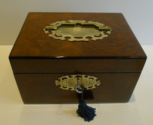 Stunning Antique English Burl Walnut, Coromandel & Brass Tea Caddy C.1860