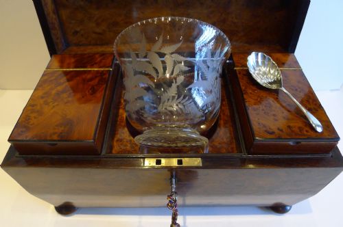 fig 1. Outstanding English Regency Burr Yew Tea Caddy c.1820