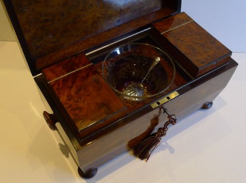 fig 2. Outstanding English Regency Burr Yew Tea Caddy c.1820