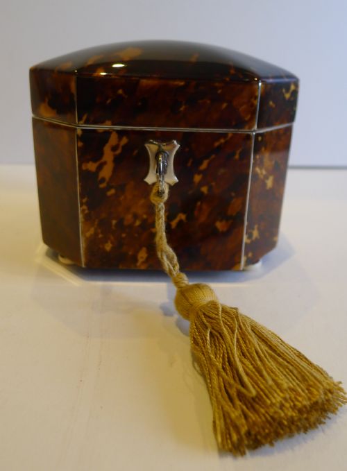 Pristine Antique English Tortoiseshell Single Tea Caddy C.1850