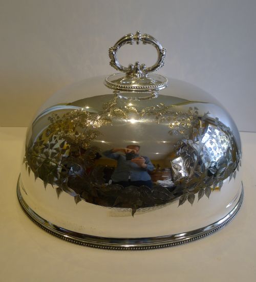 Grand 20" Meat or Food Dome by Wm Gibson & Coy of Belfast C.1880 - Ferns