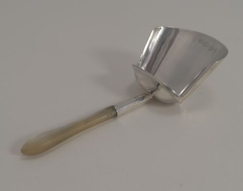 George III English Sterling Silver and Mother of Pearl Tea Caddy Spoon - 1807