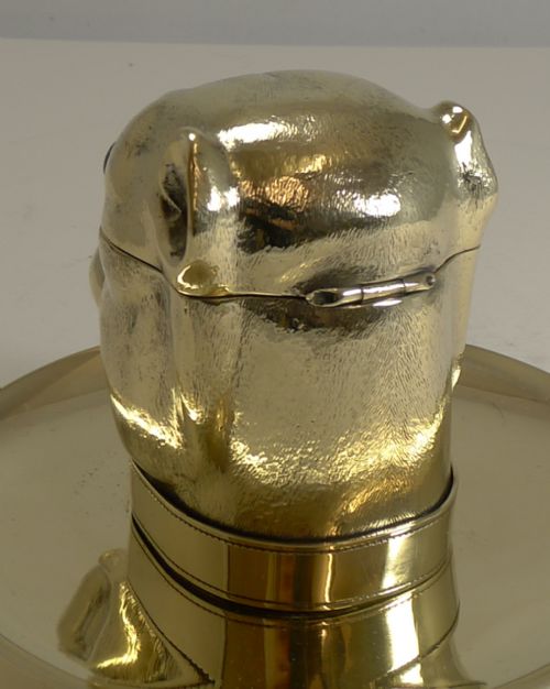 GRAND ENGLISH BULLDOG NOVELTY INKWELL WITH GLASS EYES C1880 - ADDITIONAL PHOTO 7