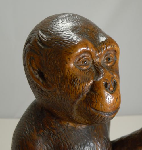 MAGNIFICENT CARVED BLACK FOREST MONKEY GONG C1890 - ADDITIONAL PHOTO 11