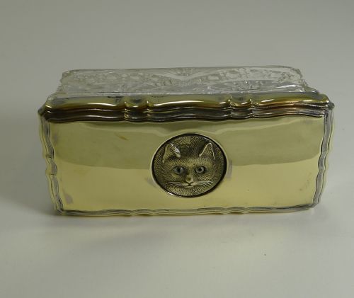 Antique English Glass & Brass Box - Cat with Original Glass Eyes C.1911