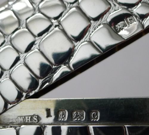 ANTIQUE ENGLISH SILVER CARD CASE CROCODILE SKIN DESIGN 1902 - ADDITIONAL PHOTO 5