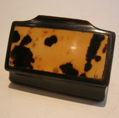 Small Victorian Horn and Tortoise Shell Snuff Box