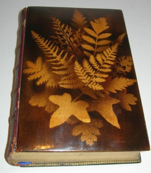 Fabulous Antique Mauchline Fernware Book - Milton's Poetical Works