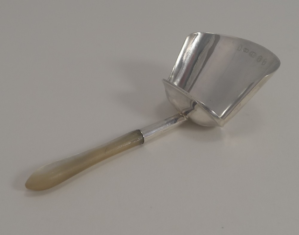 George III English Sterling Silver and Mother of Pearl Tea Caddy Spoon - 1807