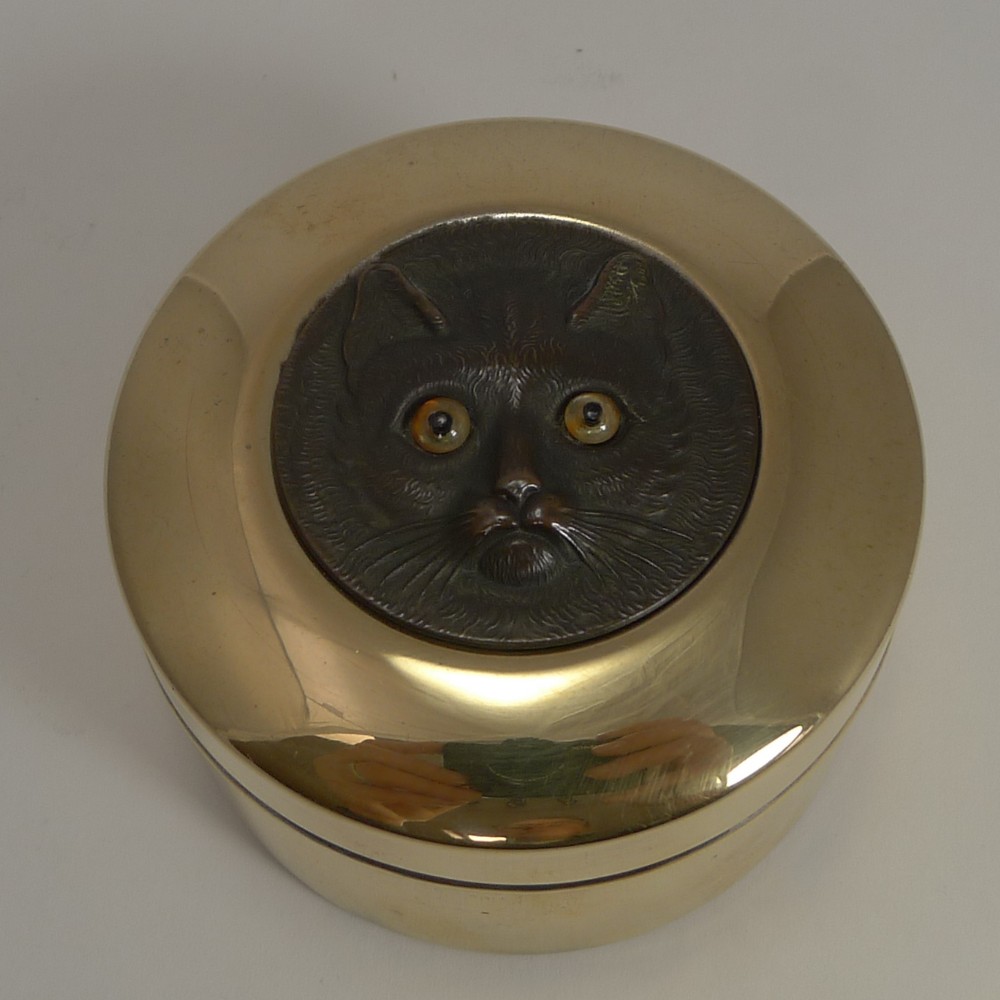 Antique Brass Box - Cat With Glass Eyes c.1890
