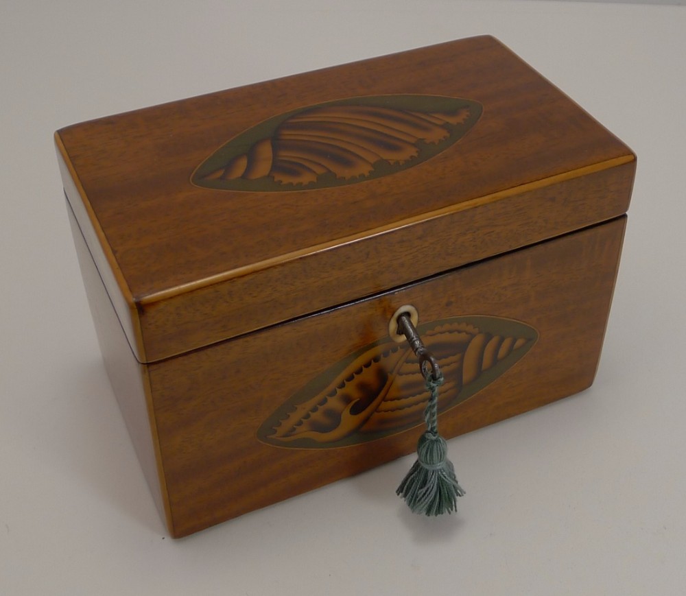 Superb Antique English Conch Shell Inlaid Mahogany Tea Caddy c.1800