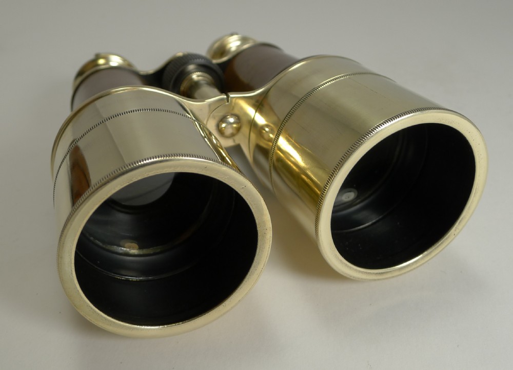 Superb Pair WW1 Binoculars and Case - British Officer's Issue - 1918 - Signed View IX