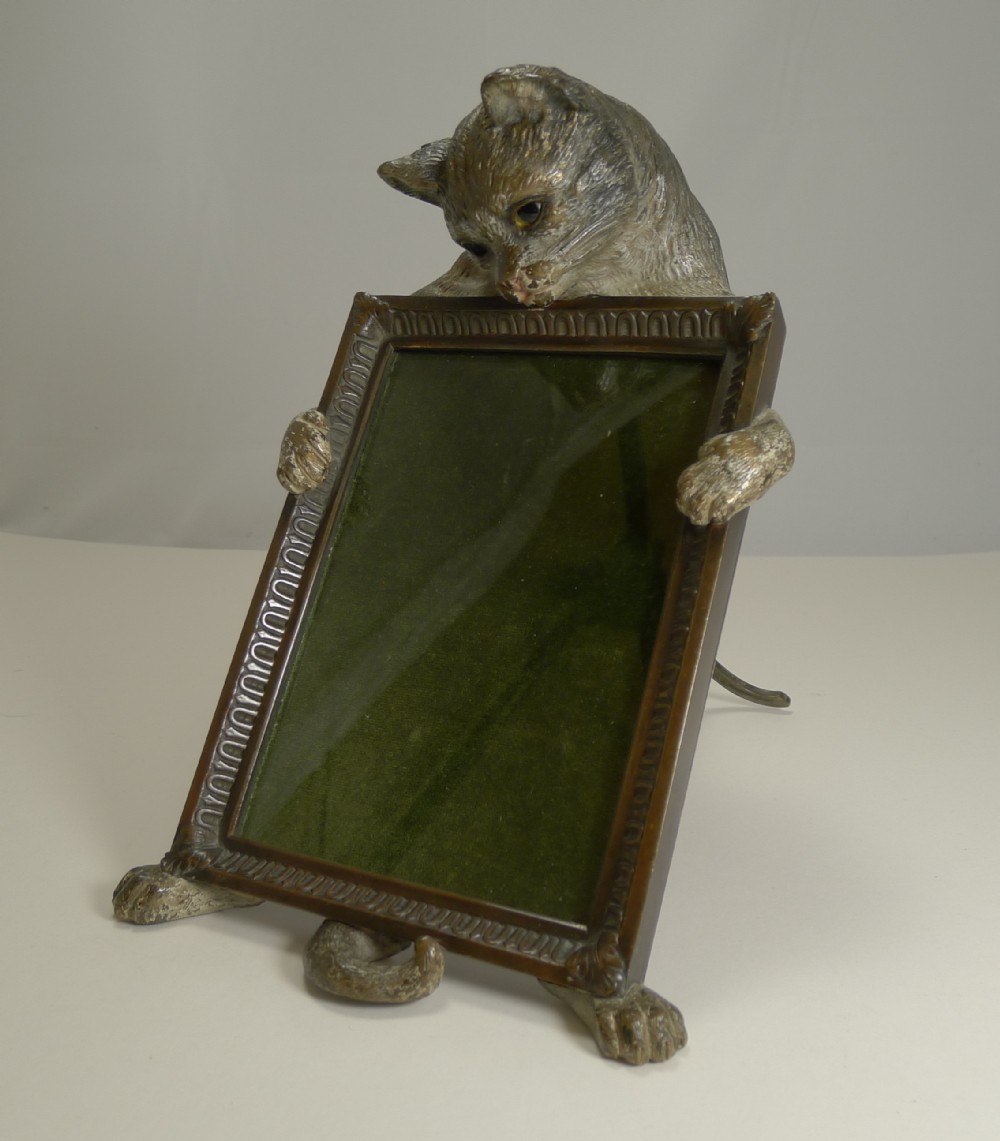 Very Rare Cold Painted Bronze Novelty Photograph Frame - Cat With Glass Eyes