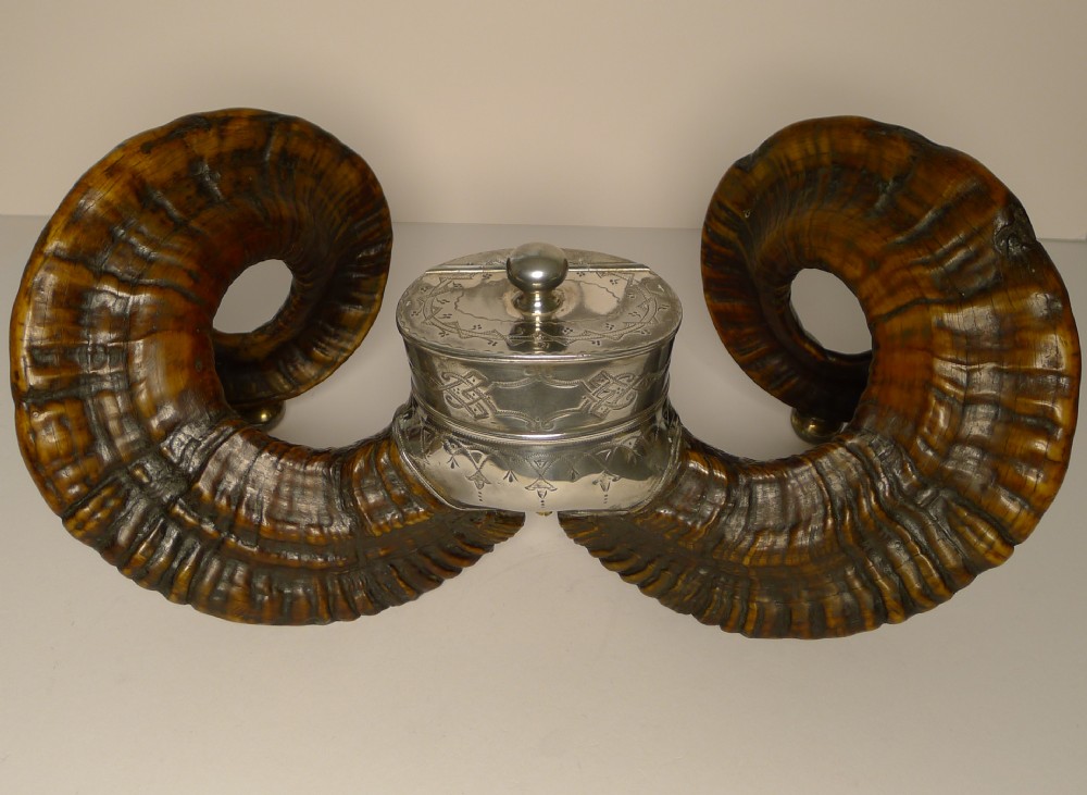 Grand Antique Scottish Ram's Horn Snuff Mull c.1880