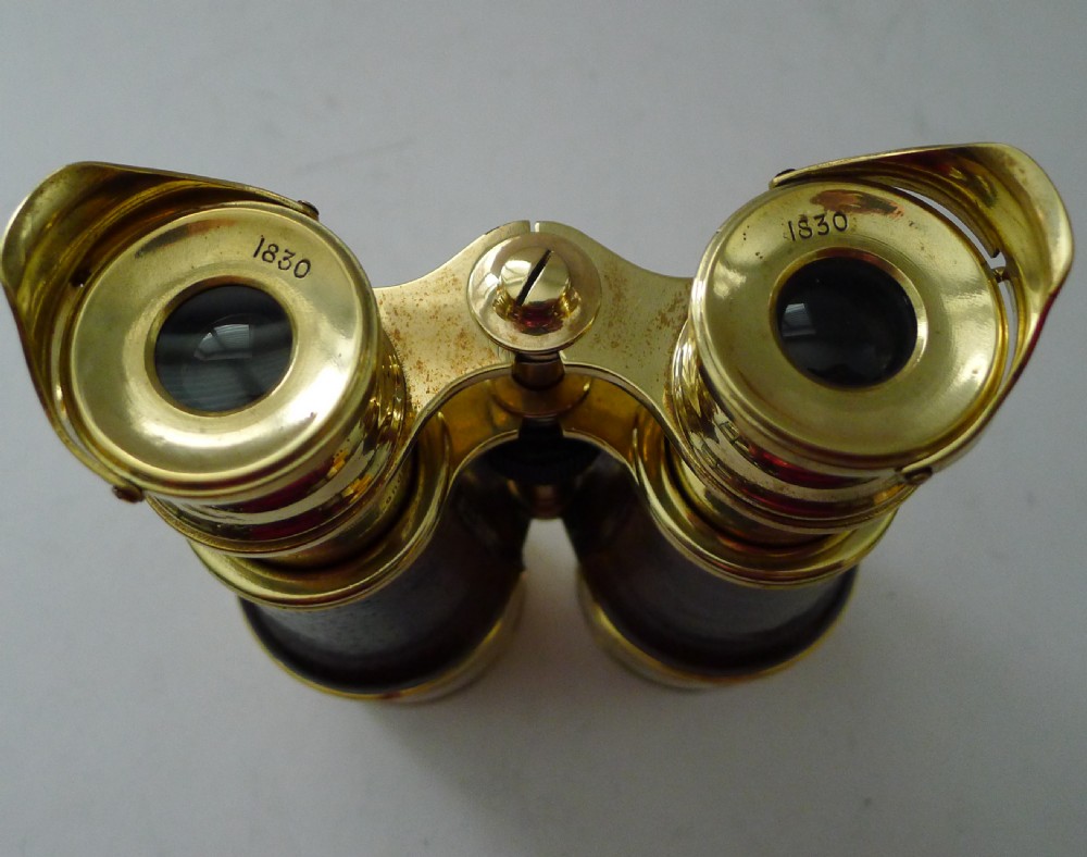 Superb Large Pair Antique English Binoculars by W. Watson & Sons, London View III