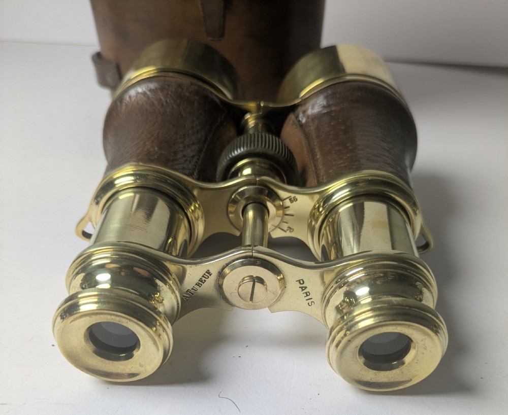 A pair of antique brass field binoculars with textured brown leather grips alongside a fitted brown leather carrying case with straps. View VIII