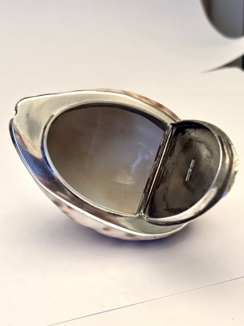 GEORGE III SCOTTISH PROVINCIAL SILVER COWRIE SHELL SNUFF BOX ROBERT KEAY PERTH C1800 - ADDITIONAL PHOTO 14