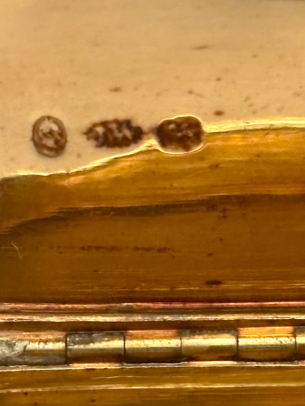 William IV Silver Gilt Snuff Box Birmingham 1835 Willmore & Co View XII