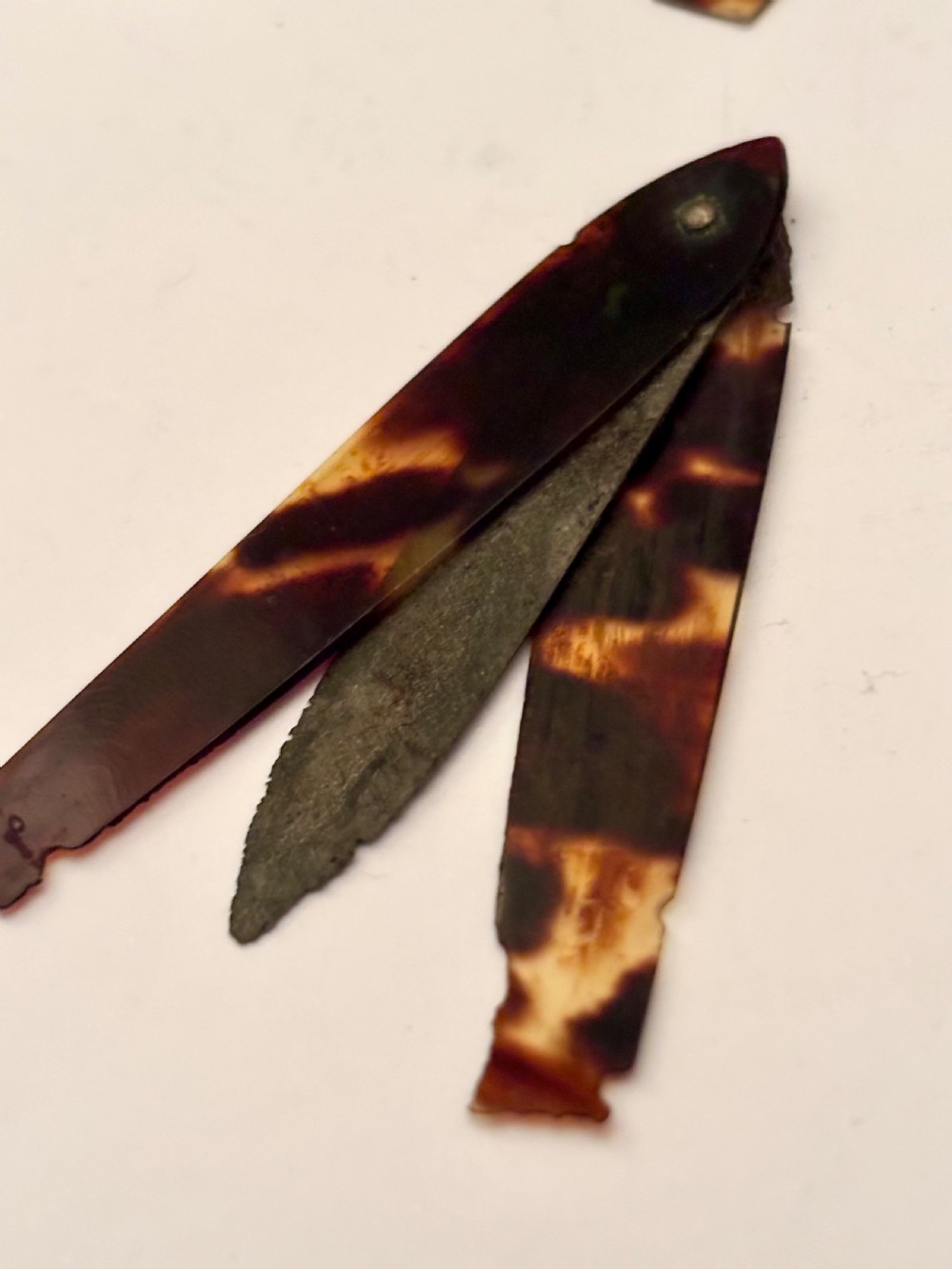An open William IV sterling silver fleam case with floral chasing, revealing two dark-handled folding blades inside. View VIII