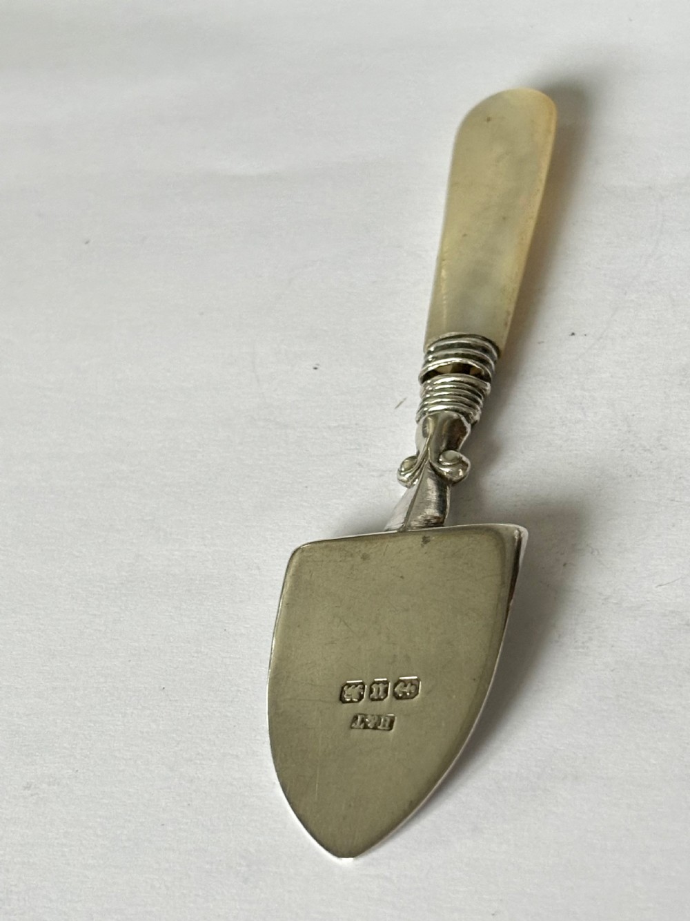A Victorian sterling silver butter spade featuring an engraved floral blade and a smooth mother-of-pearl handle. View VII