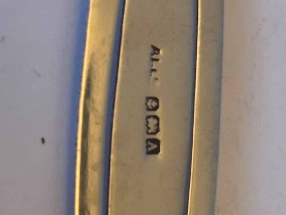 Antique George V Silver & MOP Bookmark  Adie & Lovekin Birmingham 1925 View III