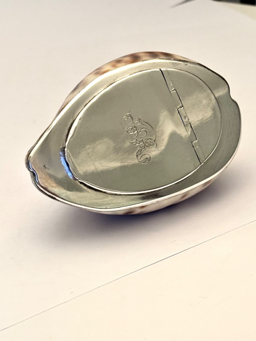 George III Scottish Provincial Silver Cowrie Shell Snuff Box ROBERT KEAY PERTH c1800 View IV