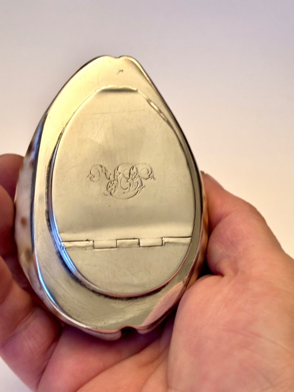 George III Scottish Provincial Silver Cowrie Shell Snuff Box ROBERT KEAY PERTH c1800 View VI