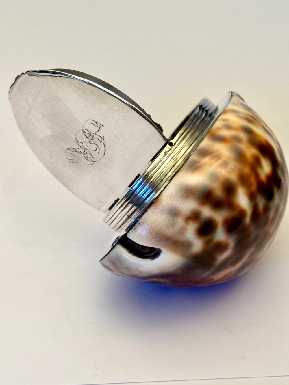 George III Scottish Provincial Silver Cowrie Shell Snuff Box ROBERT KEAY PERTH c1800 View XIII