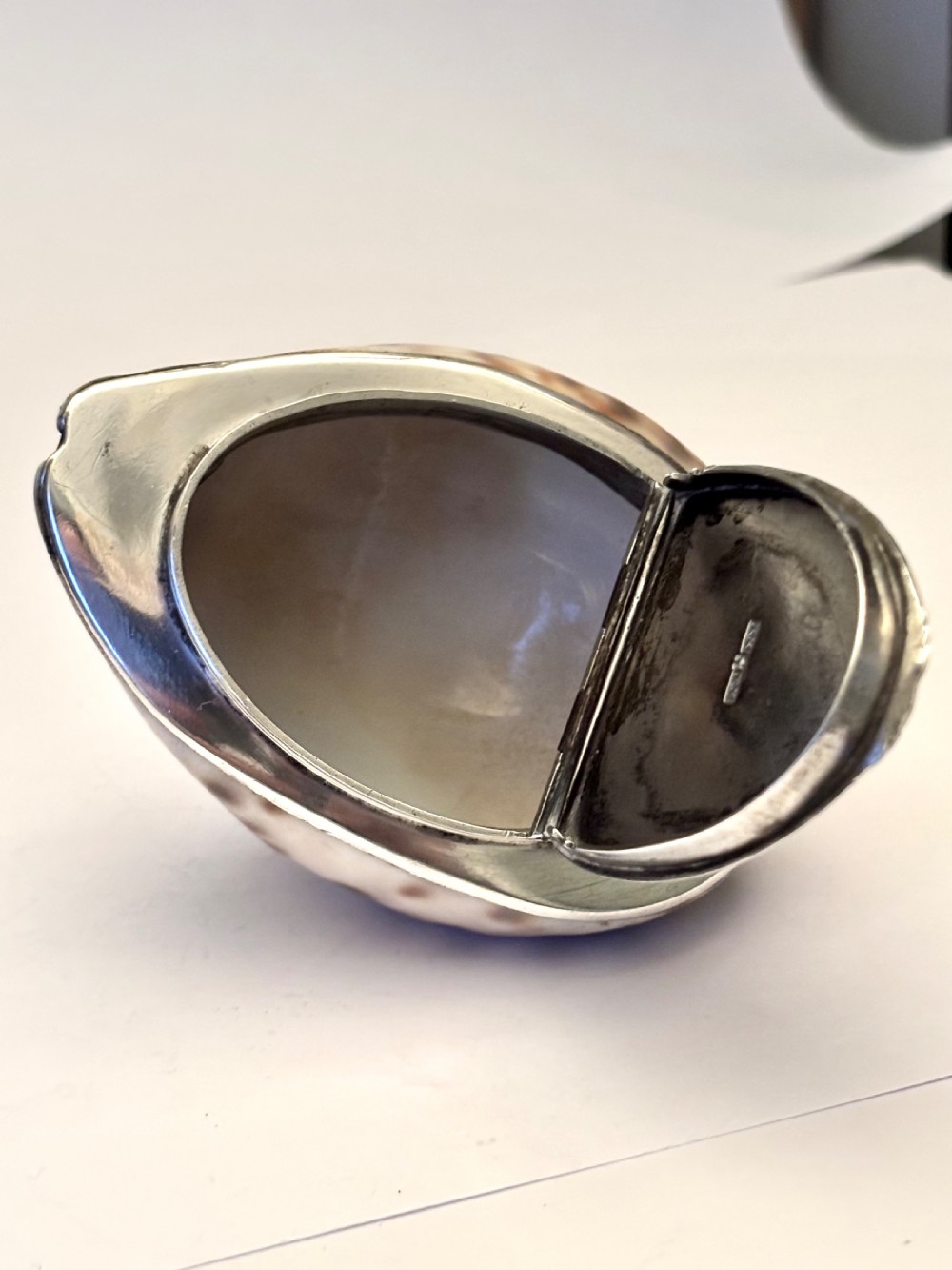 George III Scottish Provincial Silver Cowrie Shell Snuff Box ROBERT KEAY PERTH c1800 View XV
