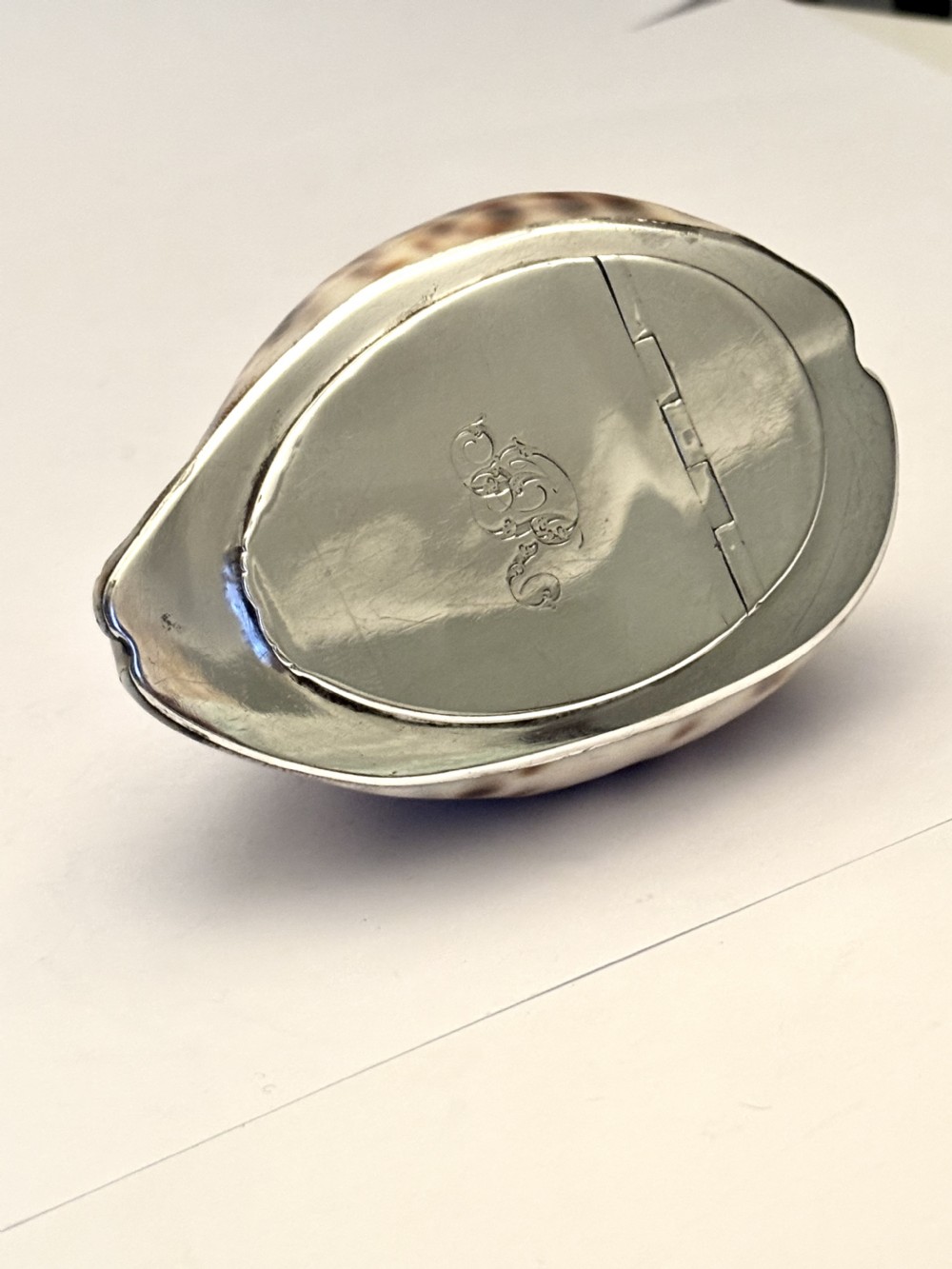 George III Scottish Provincial Silver Cowrie Shell Snuff Box ROBERT KEAY PERTH c1800