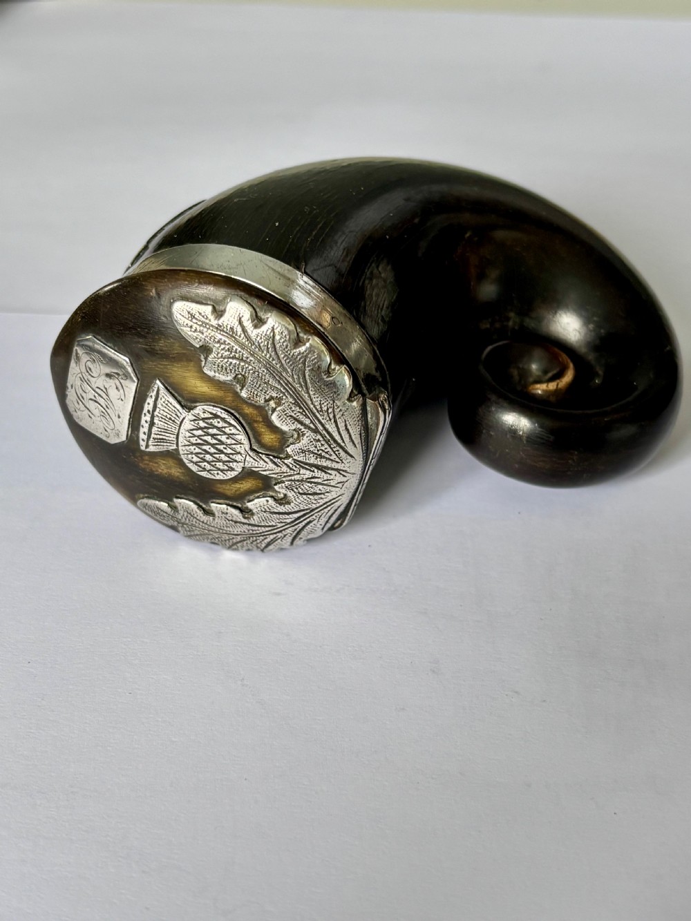 Antique Scottish Silver Mounted Rams Horn Snuff Mull Thistle Design