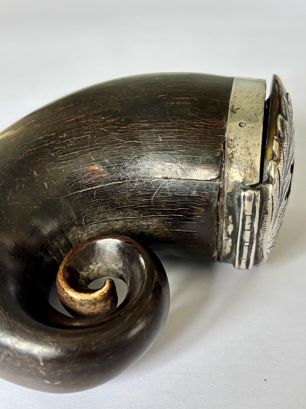 Antique Scottish Silver Mounted Rams Horn Snuff Mull Thistle Design View XI