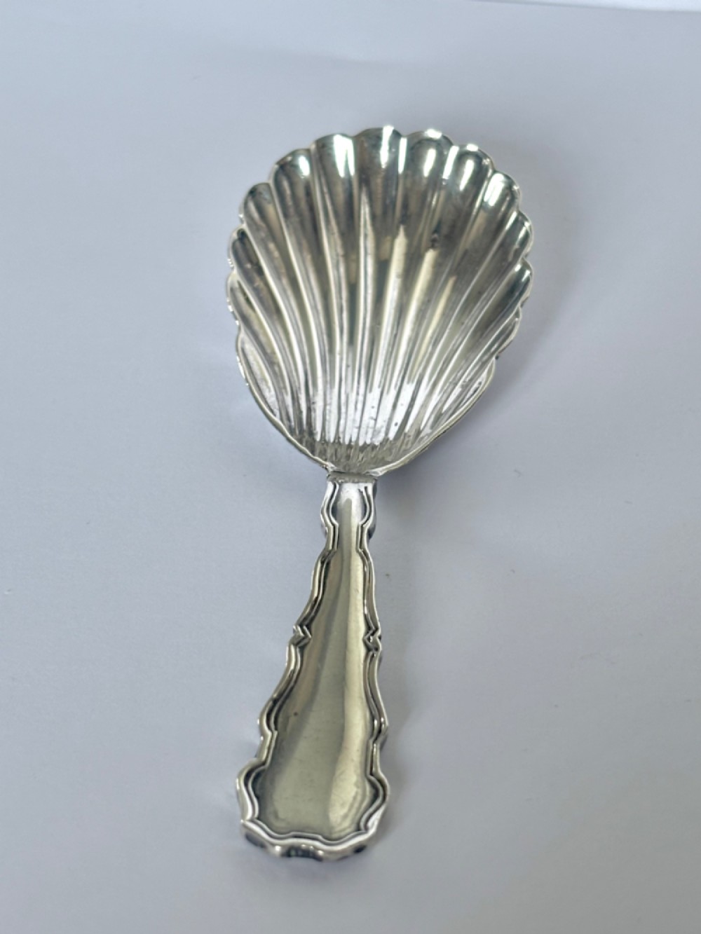 A sterling silver tea caddy spoon featuring a fluted shell-shaped bowl and a contoured decorative handle.