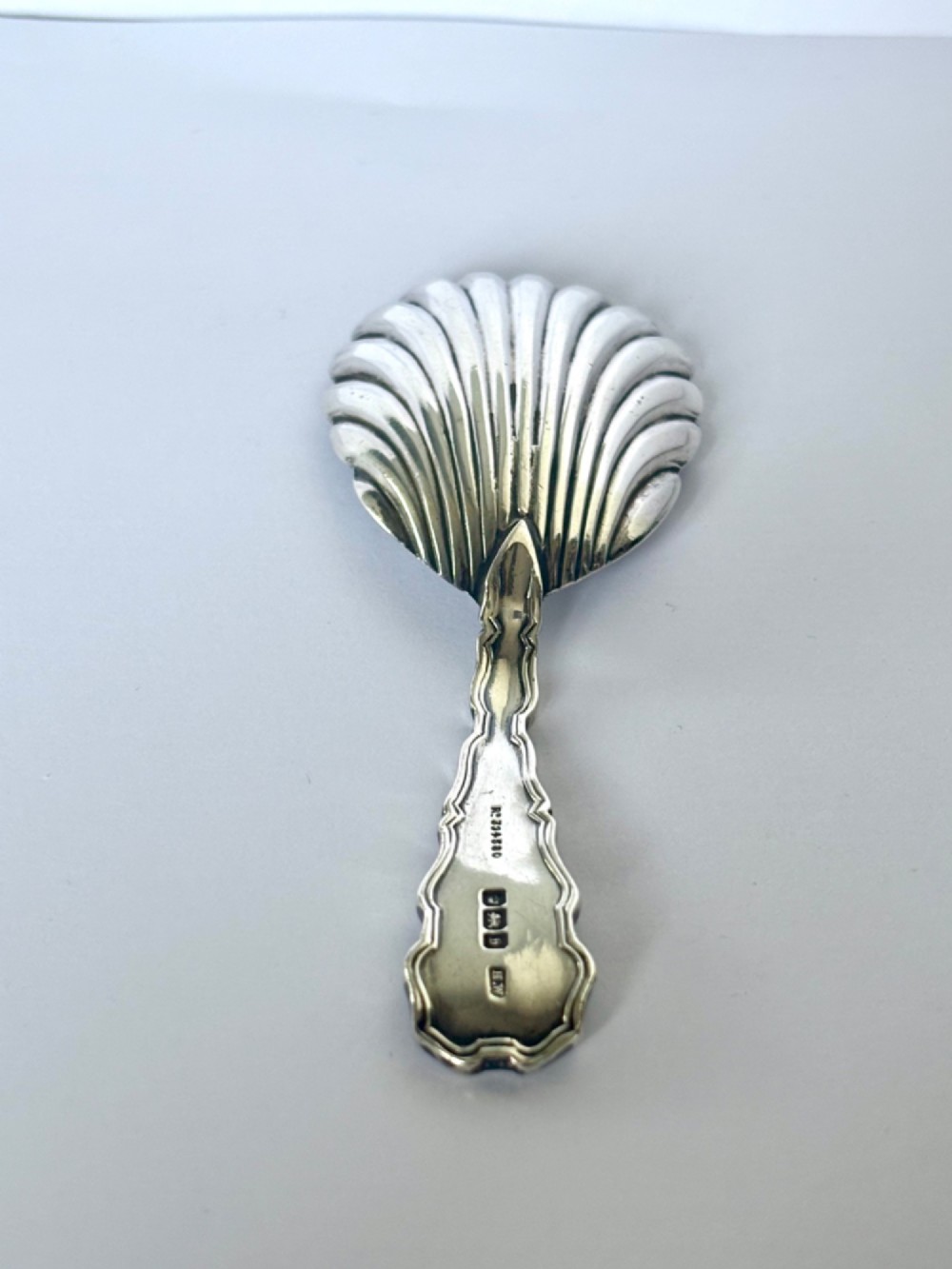 A sterling silver tea caddy spoon featuring a fluted shell-shaped bowl and a contoured decorative handle. View III