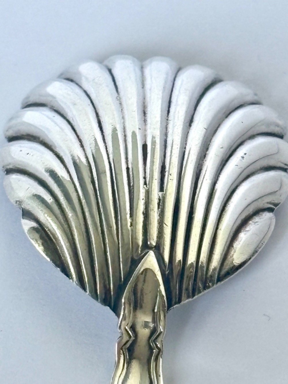 A sterling silver tea caddy spoon featuring a fluted shell-shaped bowl and a contoured decorative handle. View IV