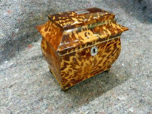 fig 1. SUPERB REGENCY TORTOISESHELL TEA CADDY