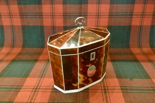 An Elegant Tortoiseshell Tea Caddy