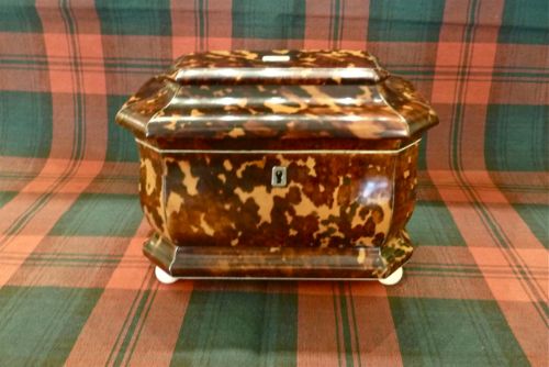 A Large Regency Tortoiseshell Tea Caddy