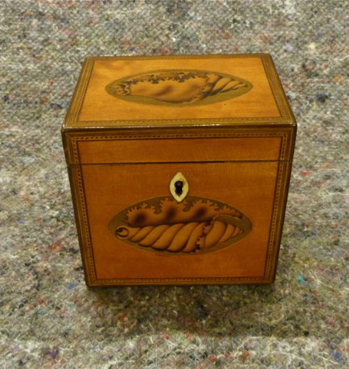 Good Satinwood Tea Caddy